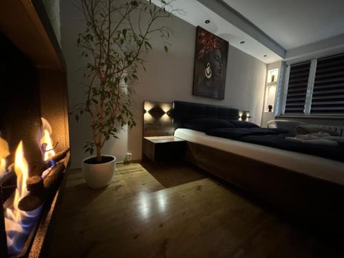 Chelm Apartamento | Studio Centrum 2