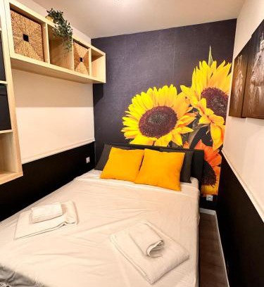 Carabacel Apartamento | Studio Coeur Delille FSHH
