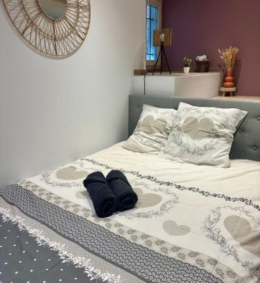 Kaysersberg-Vignoble Apartamento | Studio cosy Kaysersberg centre