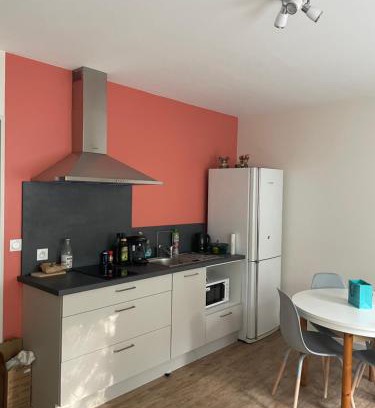 Le Puy-en-Velay Apartamento | Studio en plein centre-ville