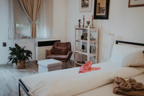 Cluj-Napoca City Centre Apartamento | Studio Eroilor