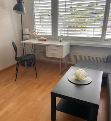 Zug Apartamento | Studio flat in the heart of Zug, ideal for solo travellers