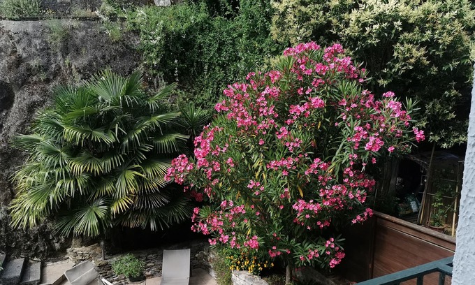 Amelie-les-Bains-Palalda Apartamento | Studio Agréable et Confortable, Terrasse, Climatisation, Wi fi, Télé