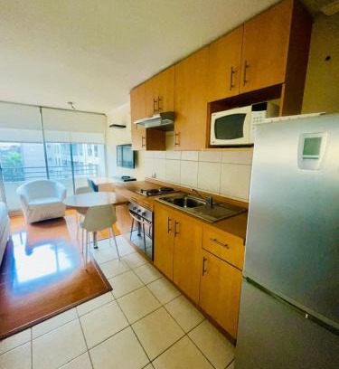 Lastarria Apartamento | Studio in Lastarria - art, culture and gastronomy