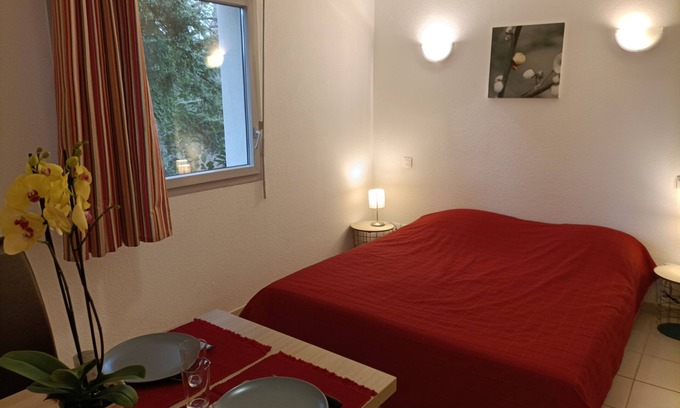 Salies-de-Bearn Apartamento | Studio in Residence with Swimming Pool B20
