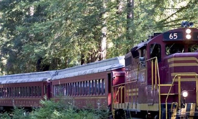 Willits Cabaña | Studio in Town Center - between the Beach and Giant Redwoods