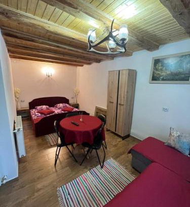 Rasnov Apartamento | Studio Ioana 2