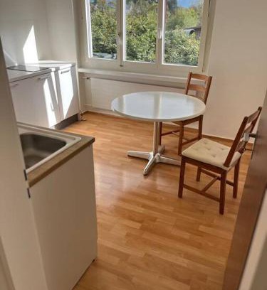 Meilen District Apartamento | Studio Jan
