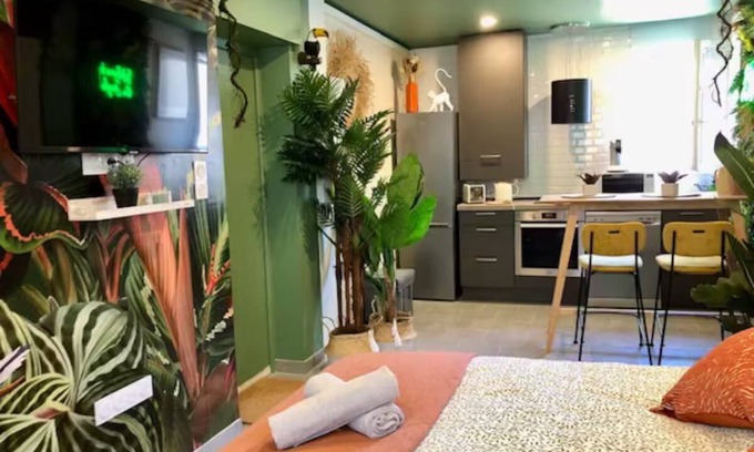 Brive-la-Gaillarde Apartamento | Studio Jungle Air-conditioned - Rated 3 stars