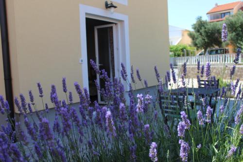 Kornic Apartamento | Studio Lavanda in Kornić, Krk