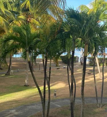 Anse des Rochers Apartamento | Studio Le Frangipanier