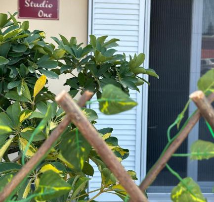 Corfu Town Apartamento | Studio One