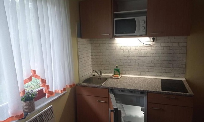 Bohinj Apartamento | STUDIO Orhideja, 2 osebi - GARSONJERA