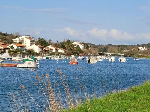 Ciboure Apartamento | studio résidence du golf et Nivelle