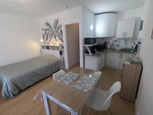 Amelie-les-Bains-Palalda Apartamento | Studio Rue Castellane pour Cure ou Tourisme Vert à 2 min des Thermes