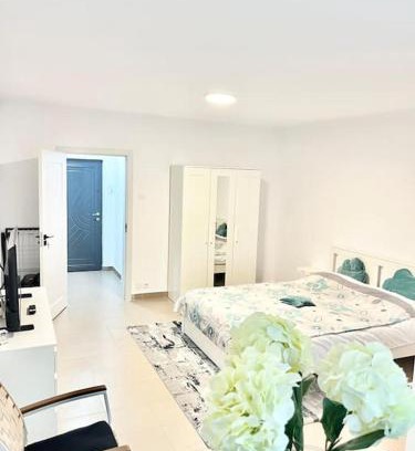 Drumul Taberei Apartamento | Studio spațios Plaza Mall, Park Drumul Taberei