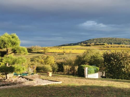Rosheim Apartamento | Studio spacieux, route des vins