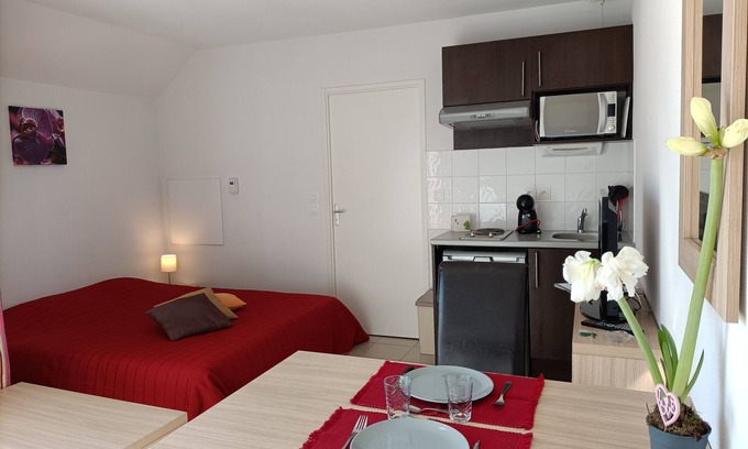 Salies-de-Bearn Apartamento | Studio Terrasse Dans Résidence Avec Piscine C62