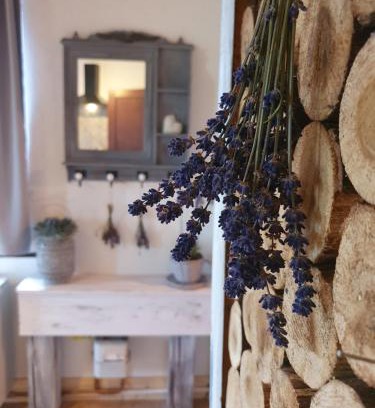 Rumburk Apartamento | Studio Vintage