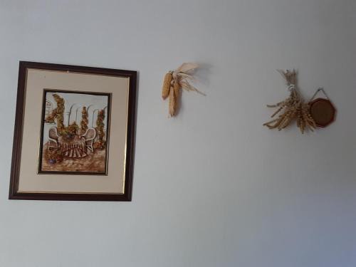Permet Apartamento | Studio with garden