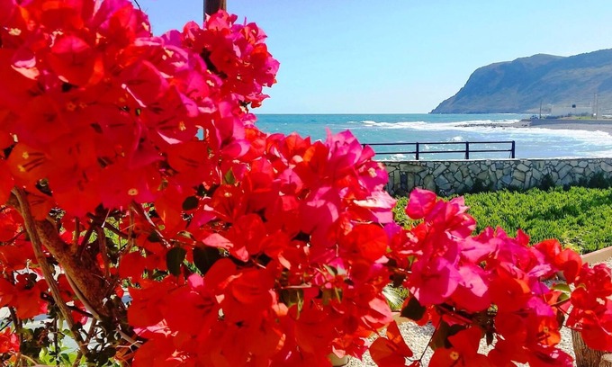 Milatos Beach Apartamento | Estudio con vistas al mar en un hermoso jardín!