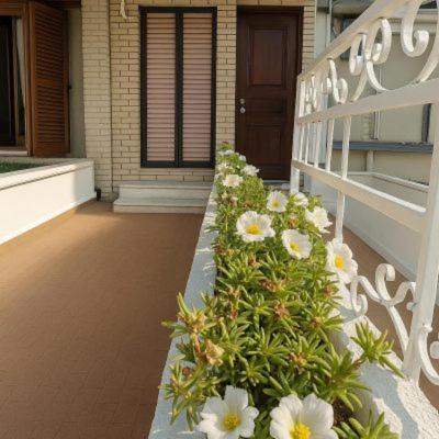 Nea Playia Casa | StudioAretiCom Anogio with private Veranda In Front Of The Lovely Sea For Rent in Nea Plagia Chalkidiki Greece PlagiaStudiosEu