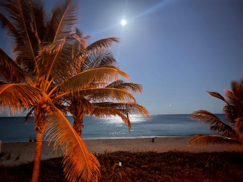 Lauderdale-by-the-Sea Apartamento | StudioBTS - Lauderdale-By-The-Sea