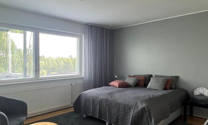 Lappeenranta Apartamento | Studiohuoneisto Liisankatu