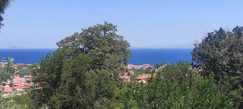 Varia Apartamento | Studios Akrotiri