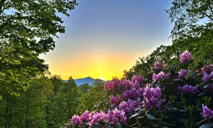Waynesville Cabina | Stunning 3-bedroom private mountain retreat nestled in the Smoky Mountains