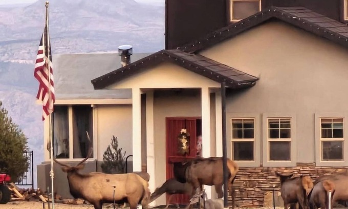 Kingman Casa | Stunning 3 bedroom walk out basement above Kingman AZ in the Hualapai Mountains
