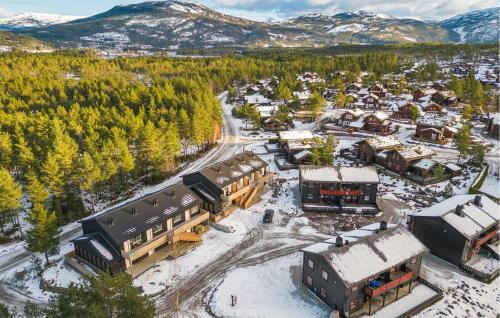 Kviteseid Apartamento | Stunning Apartment In Vrådal With Wifi