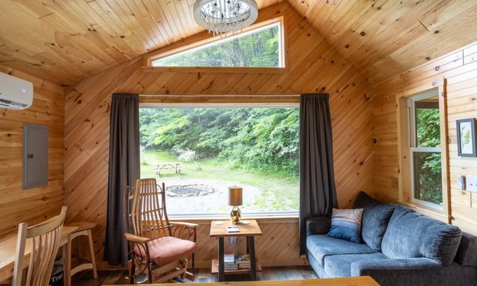 Dailey Cabina | Stunning Cabin/Mountain Hiking/National Forest!