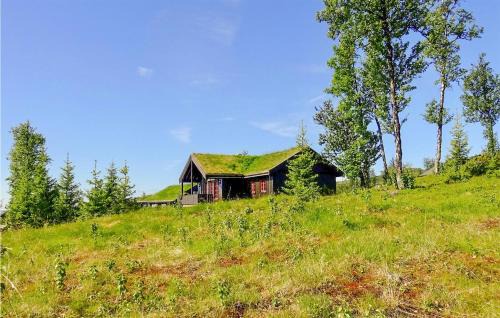 Kamben Casa | Stunning Home In Gol With Sauna