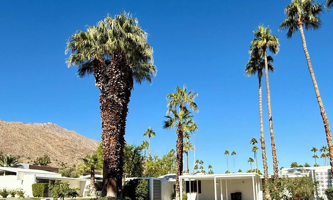 Canyon Corridor Condominio | Stunning light-filled Mid-Century Mod Condo in iconic Canyon View Estates.
