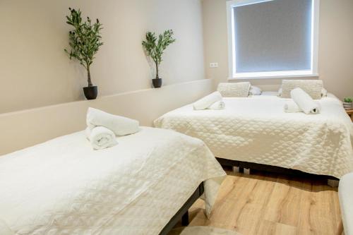 Oude Pijp Apartamento | Stylish 1-Bedroom near the Canal & Albert Cuyp Market