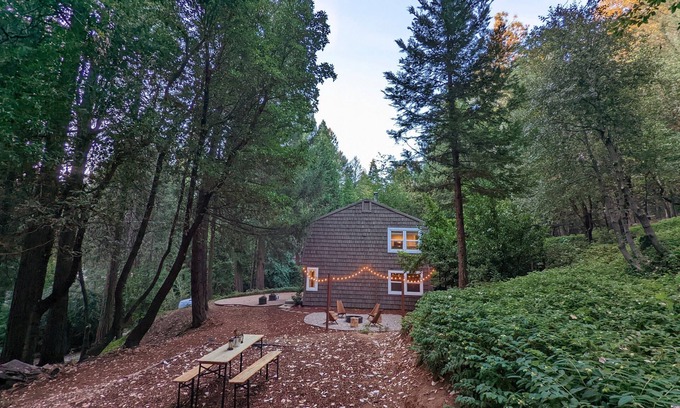 Nevada City Cabaña | Stylish Family Friendly Cottage in the Woods