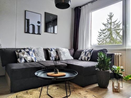 Janske Lazne Apartamento | Stylový apartmán přímo u lanovky, vlastní garážové stání