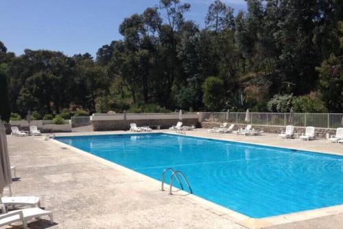 Mandelieu-La-Napoule Apartamento | Sublime studio with large terrace and pool