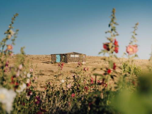 Mitzpe Ramon Cabina | Succah in the Desert