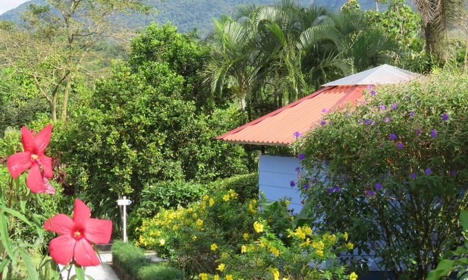Río Naranjo Cama Y Desayuno | Sueño Río Celeste B&B