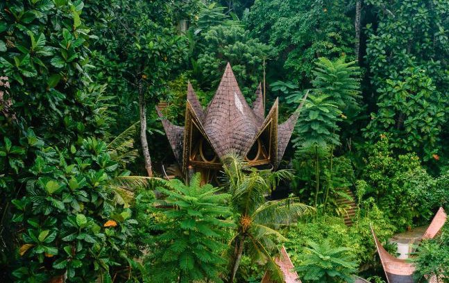 Kediri Complejo | Suenyo Eco Retreat