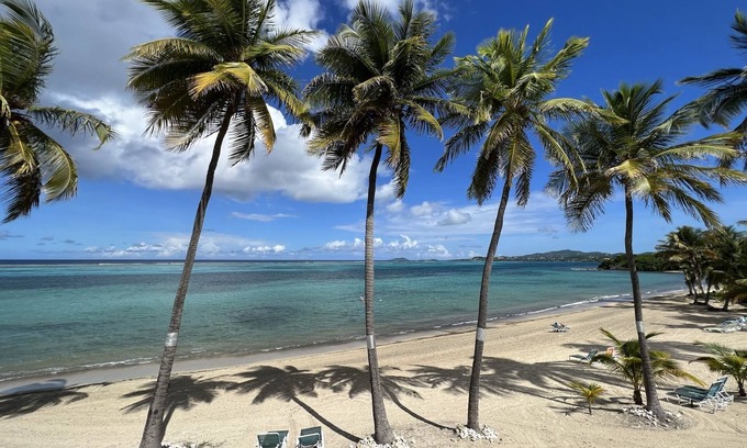 Estate Golden Rock Condominio | Sugar Beach Condo - palmeras, una hermosa vista al mar