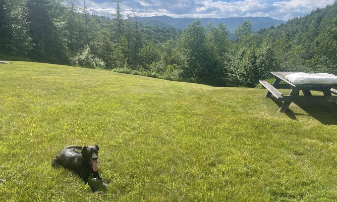 Warren Apartamento | Sugarbush Solace: 1-bedroom hideaway or launchpad for adventure - your choice!