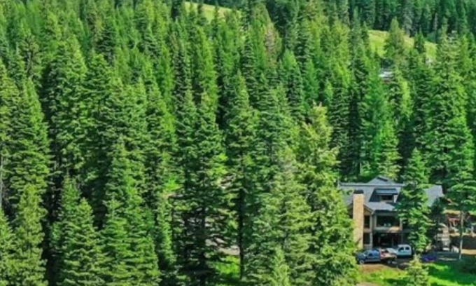 Tamarack Resort Casa | Sugarloaf Summit @ Tamarack Resort | Insta-Worthy SKI IN/OUT Mountain Modern Estate