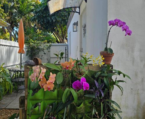 North Miami Beach Casa | Suite Life at Chez Mercedes