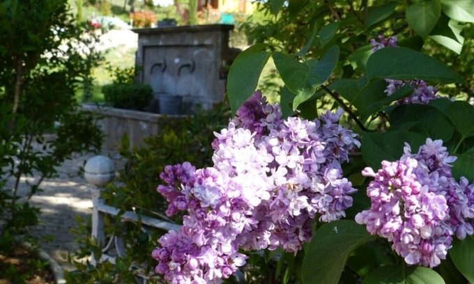 Puimoisson Casa | Suite de lavanda y miel