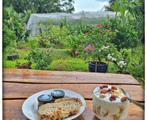 Xuyen Moc Casa | Summer Stations Homestay Binh Chau - Ho Coc Beach - Vung Tau