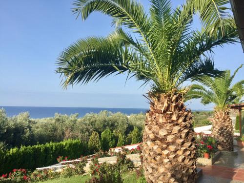 Alexandroupoli Casa | Summerhouse Anastasia