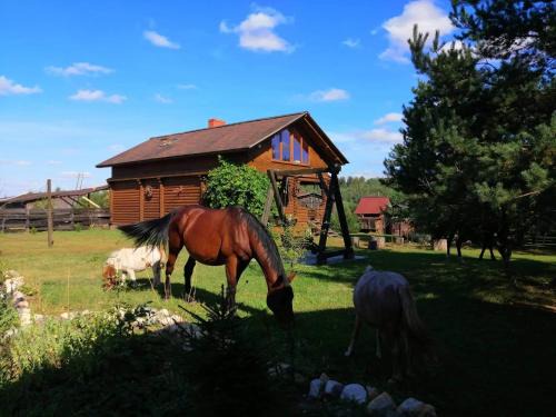 Birzgale Casa | Summerland